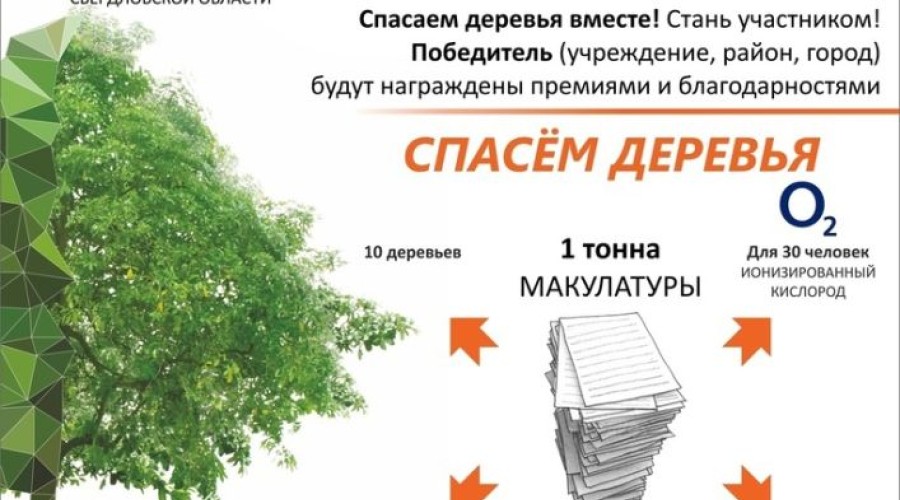 «Сдай макулатуру – спаси дерево».