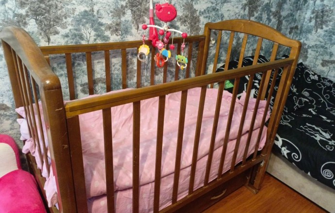 Отдам бесплатно