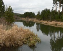 По данным Росгидромета Пышма одна из самых грязных рек в стране