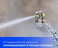 На Среднем Урале за минувшие сутки ликвидировано 9 лесных пожаров