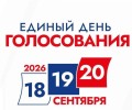 Выборы в думу Заречного: как голосовать по одномандатным округам