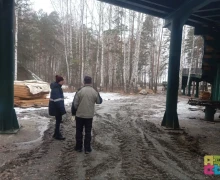 Призыв лыжников сохранить лыжную трассу поддержало более 300 зареченцев