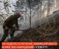 Нарушения особого противопожарного режима: сжигание мусора и травы лидируют