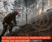 Нарушения особого противопожарного режима: сжигание мусора и травы лидируют