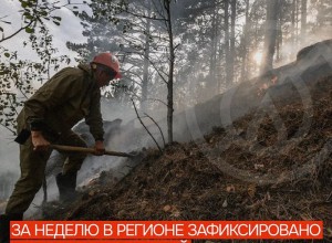 Нарушения особого противопожарного режима: сжигание мусора и травы лидируют
