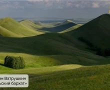 Подведены итоги конкурса «Красная ящерица – 2025»!