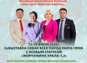 Дальние, но классные планы: летом в Заречном снова пройдёт большая выставка собак!
