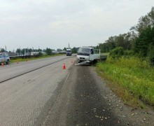 Недельная сводка ДТП: статистика происшествий с 20 по 26 июля