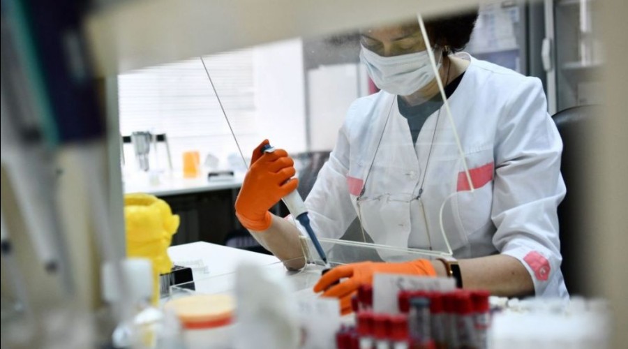 В Свердловскую область поступило около 200 тысяч доз бесплатной вакцины против клещевого энцефалита для детей и взрослых