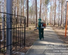 Началась обработка против клещей на территории городского округа Заречный