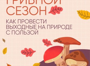 Судя по прогнозам синоптиков, нас ждут теплые выходные!