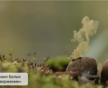 Подведены итоги конкурса «Красная ящерица – 2025»!