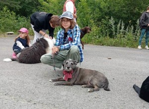 В Заречном прошёл четвёртый «Собачий переполох»