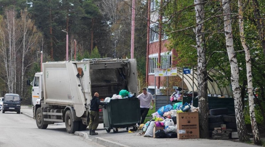 Вывоз мусора в Заречном: ситуация на контроле