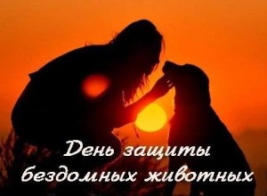 В Заречном отметили Международный день бездомных животных