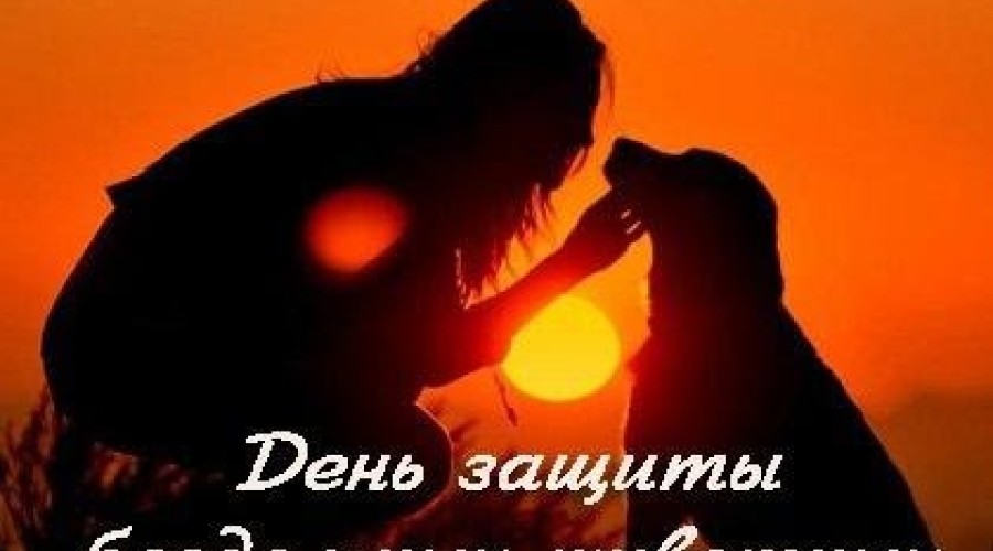 В Заречном отметили Международный день бездомных животных