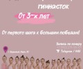 Художественная гимнастика для девочек в Заречном: набор в АНО «Созвездие»