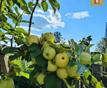 Лето пролетело, оставив яркие воспоминания и прекрасные кадры – от наших подписчиков