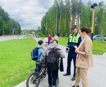 Сотрудники Госавтоинспекции провели профилактическое мероприятие вблизи пешеходного перехода