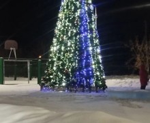В с. Мезенском тоже появилась елочка