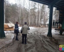 Лестницу к берегу в Экопарке достроили