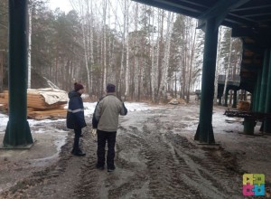 Лестницу к берегу в Экопарке достроили