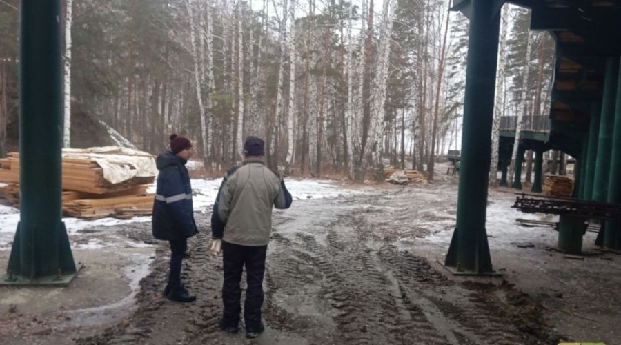 Лестницу к берегу в Экопарке достроили