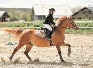 Огненная Эрика