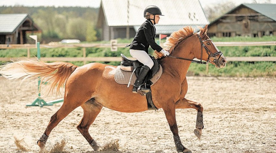 Огненная Эрика