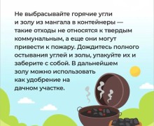 Как провести выходные на природе экологично: советы от регоператора
