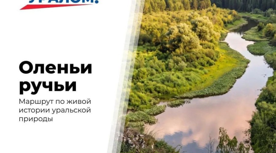Природный парк «Оленьи ручьи»: популярное место отдыха в Свердловской области