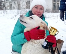 В выходные зареченские собачники соревновались в Асбесте на Зарничке