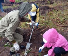 Больше 5 тысяч деревьев высадили в субботу, 6 сентября на территории Заречного