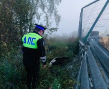 В Белоярском районе нетрезвый водитель с 115 нарушениями устроил ночное ДТП