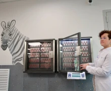 Сделать вовремя, качественно и в срок