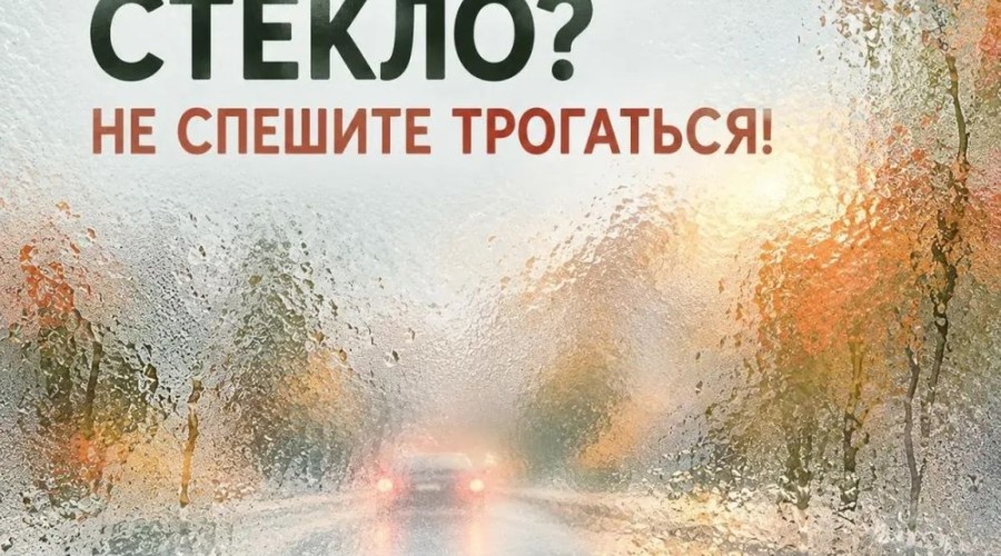 Плохая видимость за рулём: как короткая поездка превращается в аварию