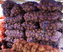 Продажа картофеля, лука и моркови урожая 2026 года