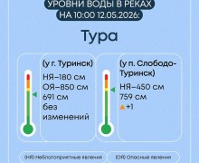 Весеннее половодье в Свердловской области: ситуация на 7 затопленных мостах и 19 населённых пунктах
