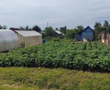 Сад в СНТ Уралец — продажа