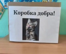 Зареченские зооволонтёры благодарят белоярских соседей за поддержку