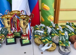 Самбисты из Заречного привезли медали с фестиваля «Дубровская Осень-2026»