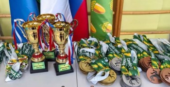 Самбисты из Заречного привезли медали с фестиваля «Дубровская Осень-2026»