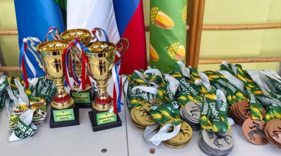 Самбисты из Заречного привезли медали с фестиваля «Дубровская Осень-2026»