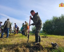 Шарташский лесной парк стал центральной площадкой всероссийского субботника «Зеленая Россия» в нашем регионе