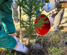 Шарташский лесной парк стал центральной площадкой всероссийского субботника «Зеленая Россия» в нашем регионе