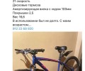 По всем вопросам писать: Елена Савинова
