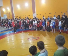 Самбисты СШ Десантник осваивают борьбу сумо и побеждают