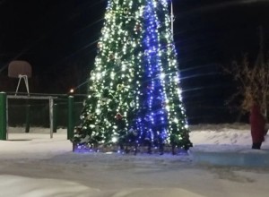 В с. Мезенском тоже появилась елочка