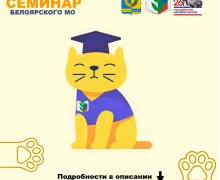 Семинар для молодых педагогов и наставников Белоярского района