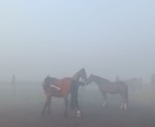В понедельник Заречный и близлежащие деревни сёла накрыл туман